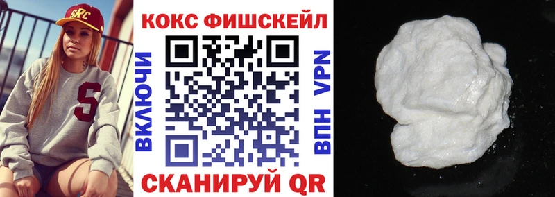 Купить где  Котельнич  COCAIN Fish Scale 