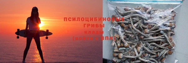 apvp Зеленодольск