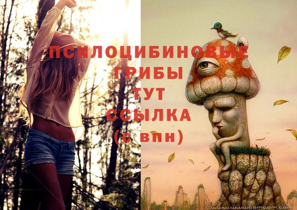 apvp Зеленодольск
