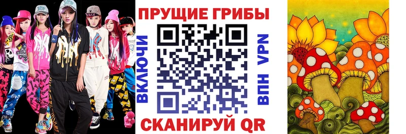 Купить  Котельнич  Галлюциногенные грибы прущие грибы 