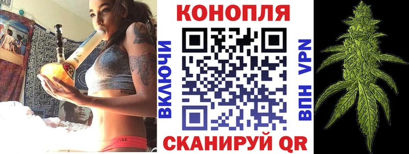 Купить  Котельнич  Канабис план 